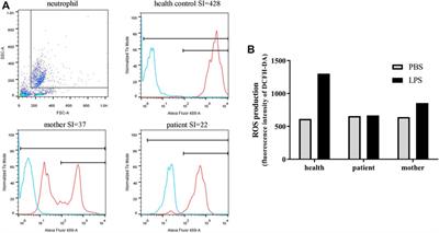 Severe G6PD deficiency leads to recurrent infections and defects in ROS production: Case report and literature review